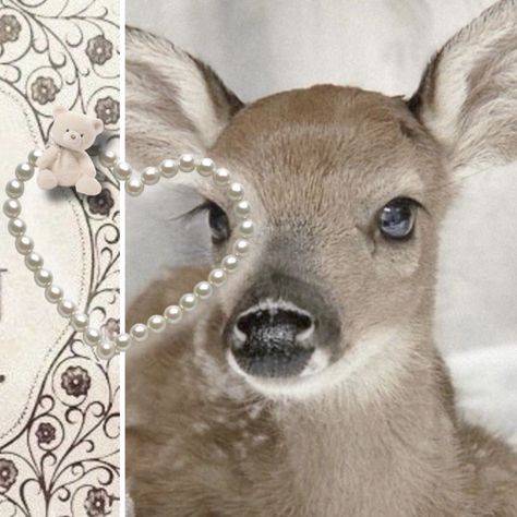 Deer Girl Aesthetic, Deer Aesthetic, Fawn Print, Deer Girl, Toro Inoue, Cute Deer, Doe Eyes, Deer Print, Oh Deer