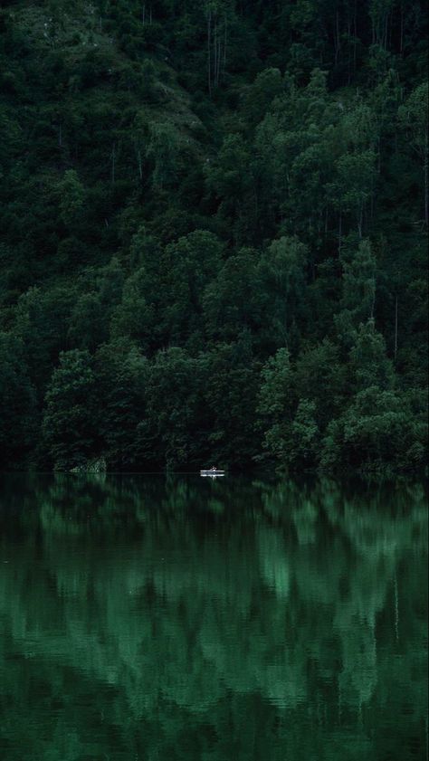 Aesthetic Dark Green Wallpaper, Aesthetic Dark Green, Green Academia Aesthetic, Academia Aesthetic Wallpaper, Dark Academia Aesthetic Wallpaper, Green Academia, Dark Naturalism, Dark Forest Aesthetic, Dark Green Wallpaper