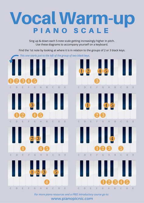 Warm-up your vocal cords at the piano with these easy exercises. Singing & playing helps to build your musical ear, learn more about strengthening your musical ear over at our FREE 5-day ear bootcamp! 5 Days To A Better Musical Ear! #pianopicnic #pianoplaying  #learnpiano #pianotips #pianoadvice #songsbyear #pianobyear #playbyear #pianotip Vocal Lessons Singing, Vocal Exercises Singing Training, Vocal Training Singing Exercise, Vocal Warmups Singing Exercise, Vocal Warmups Singing, Singing Warm Ups, Vocal Warm Ups, Vocal Exercises Singing, Piano Cords