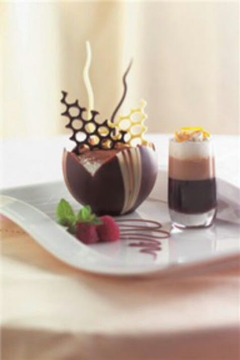 Chocolate Mousse! Sandwich Hacks, Different Desserts, Dessert Presentation, Gourmet Desserts, Elegant Desserts, Beautiful Desserts, Fancy Desserts, White Plate, Plated Desserts