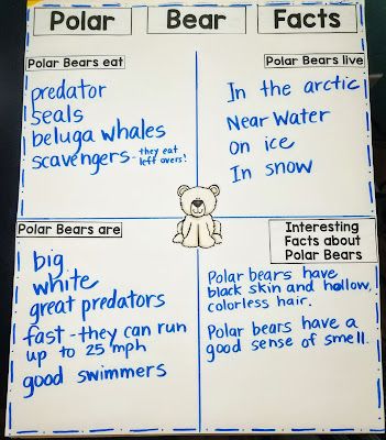 Learning ALL ABOUT the ARCTIC will be a student favorite in your kindergarten, first grade, or preschool classroom. As part of our unit studies these lesson plans guide you through science experiments, book connections, animal research activities, and writing prompts to make the most of your investigations into the arctic region, polar bears, snowy owls, walruses and more! Polar Bear Writing, Polar Bear Facts, Arctic Region, Classroom Shop, Animal Research, Snowy Owls, Kwl Chart, Animal Classification, White Polar Bear