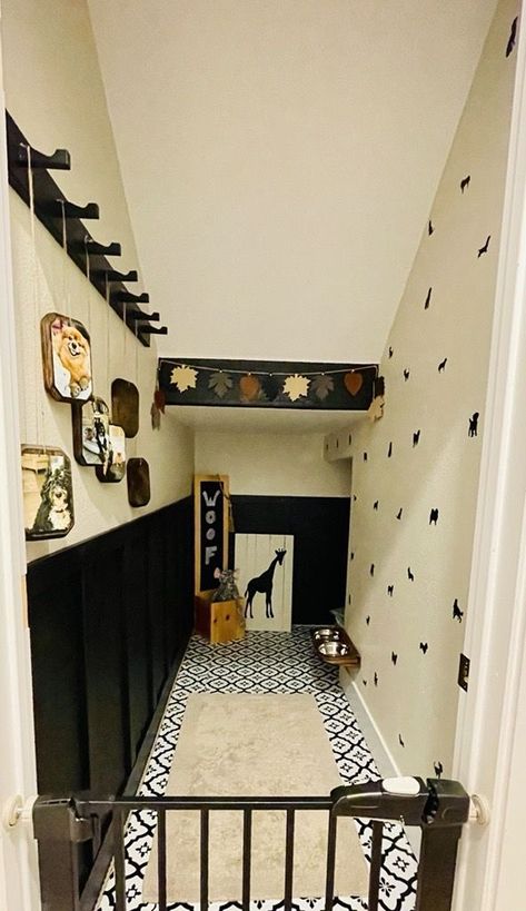 Dog Room Ideas Under Stairs Closet, Custom Dog Room Ideas, Closet To Dog Room, Closet Pet Room, Dog Closet Under Stairs, Dog Staircase Room, Dog Room Color Ideas, Dog Room Closet Ideas, Dog Room Closet