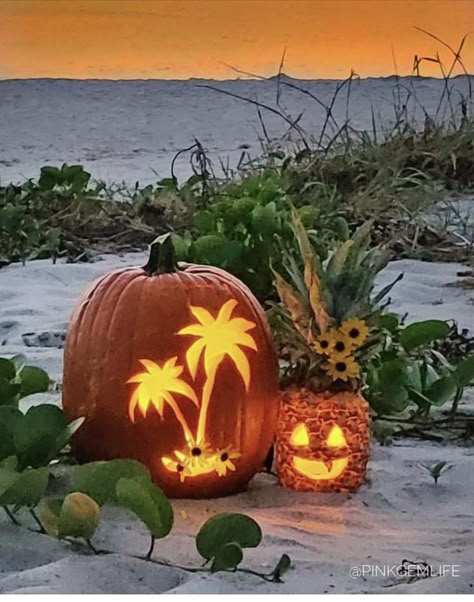 Beach Screensaver, Halloween Camping, Coastal Fall, Fall Fun Food, Halloween Wallpaper Backgrounds, Iphone Wallpaper Landscape, Thanksgiving Wallpaper, Harvest Thanksgiving, Fall Background