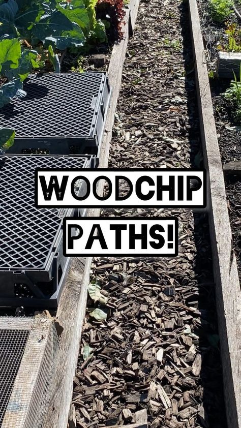 goodlife_permaculture on Instagram: I’m a bit fan of woodchip pathways around veggie beds. ✅ The increased organic matter catches abs stores more water into the soil. ✅ It… Woodchip Pathways, Veggie Beds, Food Forest, Garden Yard Ideas, Tool Sheds, More Water, Organic Matter, Garden Yard, The Soil