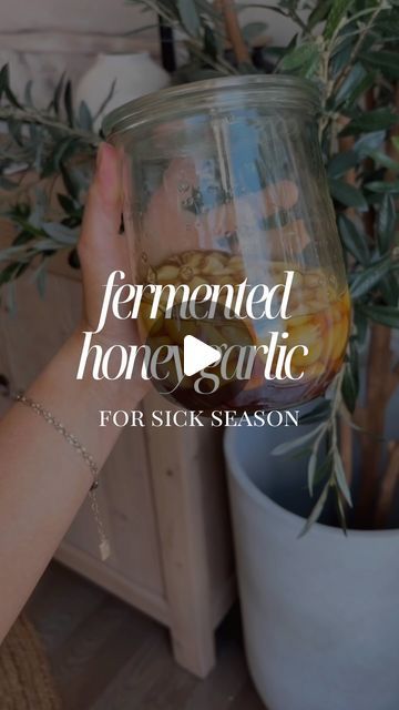 Jessie Bittner on Instagram: "Garlic + raw local honey are a natural powerhouse for sick season and such an easy remedy to keep on hand for boosting the immune system & treating cold and flu symptoms.  I’m not a doctor, but anytime we’ve had a sore throat or cough - this tackles it overnight.  Have you tried it yet? 

GARLIC:  antibacterial & disease-fighting properties
HONEY: helps to fight inflammation, balance the immune system, and prevent illnesses with antibacterial, antiviral, & antifungal properties

HOW TO MAKE IT:
- 1 cup garlic cloves, peeled
- 1 cup raw local honey
- Mason jar 

1. Use the side of a chef’s knife to lightly smash the garlic cloves so they release their liquid more easily.  Add the garlic cloves to the jar then cover with an equal amount of honey (this recipe is Honey Garlic Ginger Cold Remedy, Garlic Honey Cough Syrup, Fermented Honey Garlic For Colds, Fermented Garlic Honey Benefits, Honey Garlic Medicine Jar, Fermented Garlic, The Immune System, Local Honey, Garlic Clove