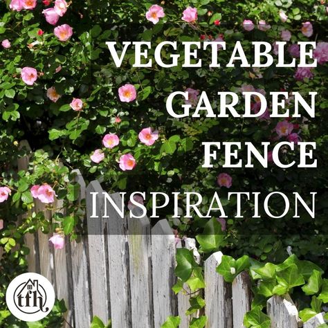 Elevate your vegetable garden with these inspiring fence ideas. From small white fences to cottage fences, discover designs that add charm, protection, and beauty to your veggie oasis. Get inspired and start gardening! #vegetablegarden #fenceideas #gardendesign Vegetable Garden Fence Ideas, White Picket Fence Garden, Vegetable Garden Fence, Picket Fence Garden, Garden Design Ideas Inspiration, Garden Design Ideas On A Budget, Start Gardening, Fenced Vegetable Garden, Garden Fence Ideas