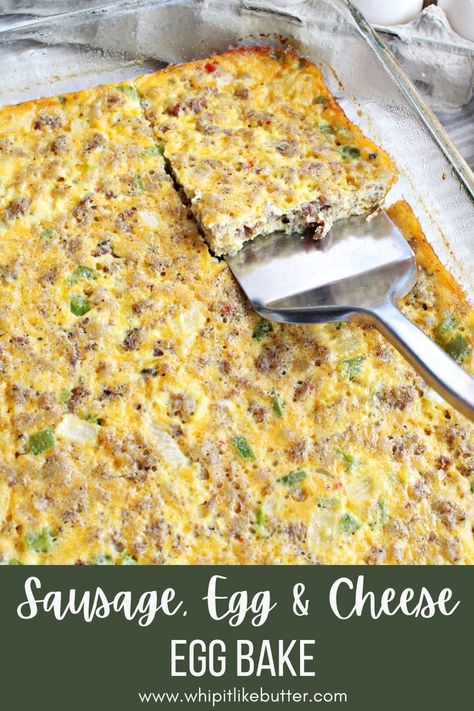 Cheese Egg Bake, Egg And Cheese Casserole, The Egg Diet, Egg Diet Plan, Egg Bake, Sausage Bake, Egg And Cheese, Egg Diet, Sausage And Egg