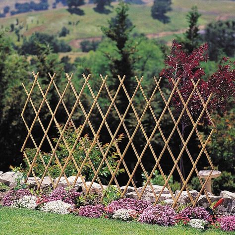 Expanding Wood Trellis Temporary Fence For Dogs, Wooden Garden Trellis, Bamboo Interior, Expanding Trellis, Trellis Fence, Bamboo Trellis, Horizontal Fence, Front Yard Fence, Cedar Fence