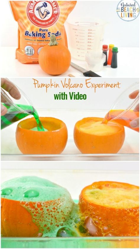 Kids love hands-on Science Activities, and Pumpkin Science Experiments are perfect for a fall theme,This Pumpkin Volcano is an awesome exploding pumpkin experiment for preschoolers, Add this Pumpkin Science to your Kids Science Table or Pumpkin Lesson Plans #pumpkin #scienceforkids #preschool #kindergarten #science #pumpkinactivities #fallactivities Pumpkin Science Activities For Preschool, Fall Toddler Science Activities, Fall Science Table Preschool, Volcano Pumpkin Experiment, Pumpkin Balance Game, Pumpkin Theme Lesson Plans, Science Pumpkin Activities, Fall Science Projects For Preschool, Pumpkin Volcano Preschool