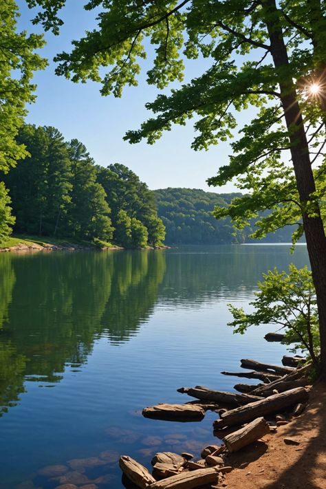 Lake Retreats: Finding Peace at Oklahoma’s Beautiful Lakes Natural Falls State Park Oklahoma, Oklahoma Nature, Oklahoma Wildlife, Lake Eufaula Oklahoma, Parallel Forest Oklahoma, Lake Retreat, Types Of Fish, Recreational Activities, Mountain Bike Trails