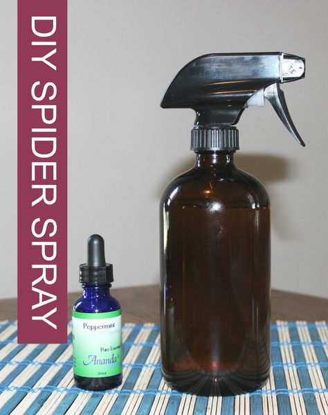 You can easily make your own DIY natural spider repellent at home using essential oils! It is a safe, non-toxic way to spray your home for spiders. Ant Repellent Diy Indoor Essential Oil, Peppermint Oil For Spiders, Natural Spider Repellent, Spider Repellant, Natural Spider Repellant, Spider Repellent, Spider Spray, Spiders Repellent, Diy Spider