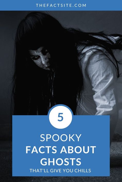 Do you believe in ghosts and spirits? Some people swear they've seen one, while others claim they're just a figment of our imagination. Either way, there are a lot of tales and history surrounding this spooky creature. There's still a lot of debate about whether ghosts are real or not. But these weird facts about ghosts are definitely real! Keep reading to give yourself the creeps! #TheFactSite #Facts #Ghosts #Spooky #Haunted #Ghouls Weird Paranormal Facts, Scary Facts About Ghosts, Are Ghosts Real, Facts About Ghosts, Real Creepy Facts, Ghost Facts, Spooky Facts, Haunted Stories, Paranormal Facts