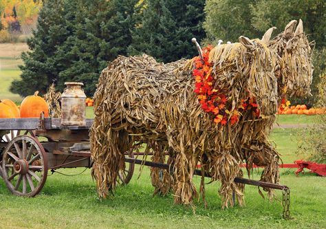 Hay Bale Decorations, Fall Yard Decor, Outside Fall Decor, Corn Husk Dolls, Fall Decor Diy Crafts, Corn Stalks, Autumn Display, Western Horse, Harvest Festival