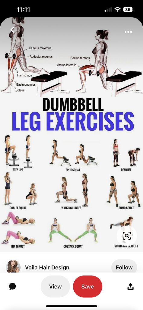 Dumbell Squats, Dumbbell Squat, Single Leg Deadlift, Dumbell Workout, Marathon Training Plan, Goblet Squat, Sumo Squats, Squat Workout, Floor Workouts