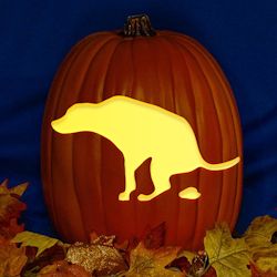 Painting Ideas For Halloween, Creative Pumpkin Painting Ideas, Halloween Pumpkins Carvings Designs, Funny Pumpkin Carvings, Halloween Pumpkin Crafts, Creative Pumpkin Painting, Cute Pumpkin Carving, Pumpkin Carver, Pumkin Carving