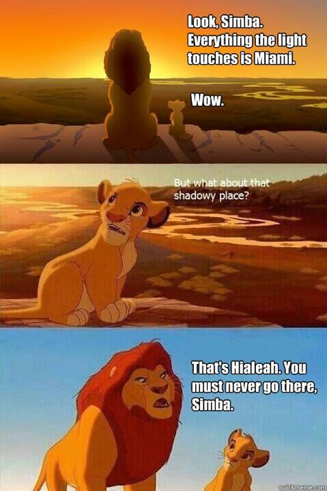 Lion King Hialeah Meme Simba Lion King, Go Gamecocks, The Bigbang Theory, Simba Lion, Band Jokes, Band Nerd, Band Geek, Band Humor, Dc Memes