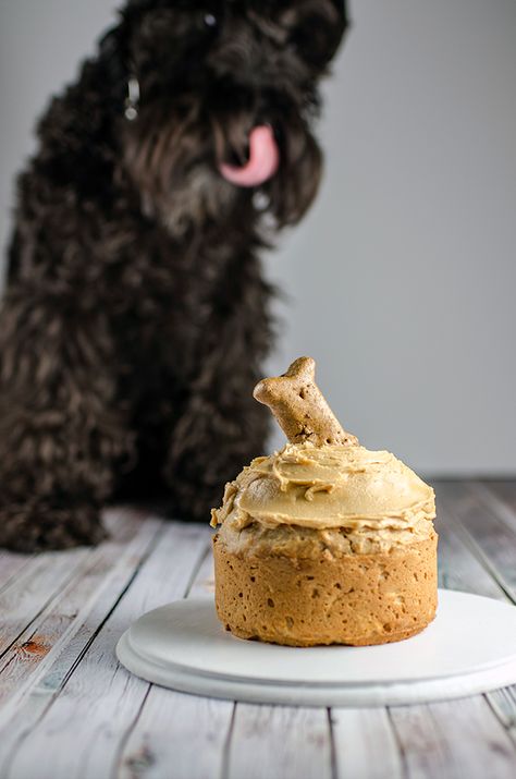 Pupcake Recipe, Peanut Butter Apple, Dog Birthday Cake Recipe, Dog Cake Recipes, Spring Form, Dog Biscuit Recipes, Apple And Peanut Butter, Puppy Cake, Peanut Recipes