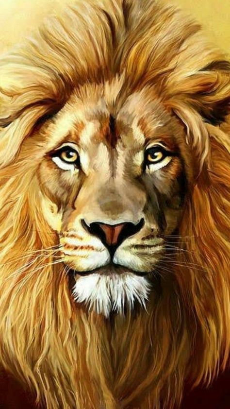 Lion Painting Acrylic, Lion Sketch, Lion Artwork, Lion Drawing, Beautiful Lion, Lion Wallpaper, Lion Painting, Lion Images, Lion Canvas