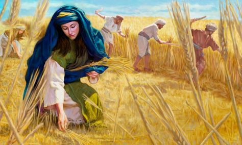 Ruth humbly picking up barley behind the workers in the field to support herself and Naomi. Ruth Bible, Ruth And Naomi, Bible Images, Lds Art, Bible Illustrations, True Faith, Bible Characters, Bible Pictures, Prophetic Art