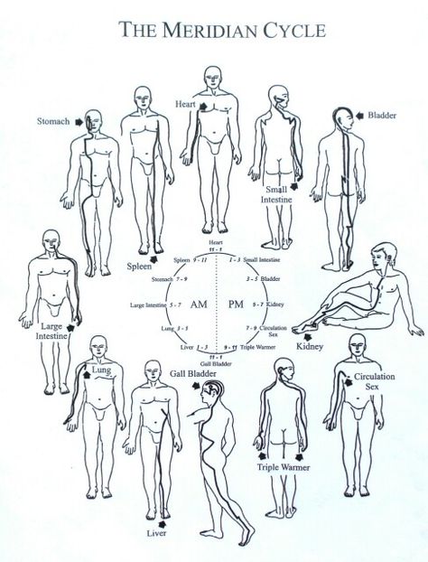 Meridian Lines Body Pressure Points, Chinese Medicine Meridians, Meridian Healing, Chinese Meridians, Pericardium Meridian, 12 Meridians, Kidney Meridian, Traditional Chinese Medicine Acupuncture, Meridian Acupuncture