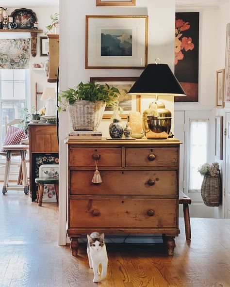 Stately Living Room, Antique Door Decor Ideas, Classic Southern Home Decor, Coffee Table Decor Fall, Wall Pantry Ideas, Fall Coffee Table Decor, Cozy Cottage Kitchen, Happy Friday Eve, Country Ideas