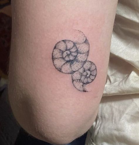 The Sundays Tattoo, Ammonite Tattoo, Hand Poked Tattoo, Gorgeous Tattoos, Hand Poke, Poke Tattoo, Body Mods, Cute Tattoos, Tattoos And Piercings