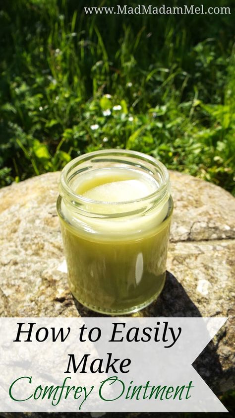 How to Make Comfrey Ointment - simply and easily Comfrey Salve Recipe, Herbalism Recipes, Comfrey Tea, Herbal Salve Recipes, Comfrey Salve, Medicine Recipes, Medicinal Wild Plants, Herb Tinctures, Living Naturally