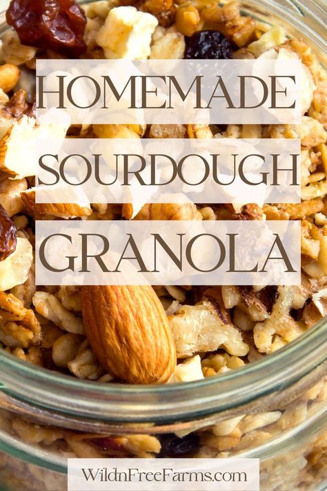 crunchy sourdough granola Sourdough Granola, Simple Sourdough, Mom Breakfast, Honey Granola, Classic Breakfast, Home Simple, Granola Recipe, Cinnamon Rolls Homemade, Granola Recipes