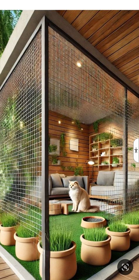 Catio Cats Interior, Outdoor Cat Space, Cat House Ideas Outdoor, Catios Ideas For Cats, Cat Space Ideas, Catio Patio, Cat Patio Enclosure, Accessorizing Tips, Pet Patio