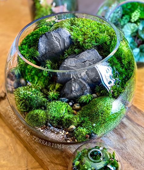 The bio-bowl Forest World terrarium series is comprised of crystal clear, high quality glass bowls showcasing a miniature landscape with several varieties of live moss, natural stone & rock architectural elements. Each piece with be made from scratch and will slightly vary in color and placement. V Bowl Terrarium, Large Terrarium, Terrarium Bowls, Plant Care Instructions, Miniature Landscape, Beautiful Terrariums, Woodland Plants, Eco Decor, Plant Terrarium