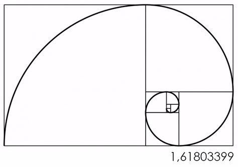 Golden Ratio Tattoo Design, Fibonacci Tattoo Golden Ratio, Tattoo Golden Ratio, Golden Ratio Graphic Design, Golden Rule Tattoo, Golden Spiral Tattoo, Golden Ratio Tattoo, Quetzalcoatl Tattoo, Fibonacci Tattoo