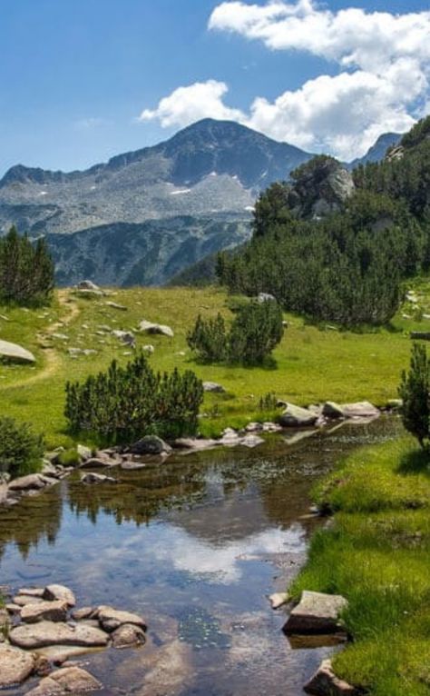 Bulgaria Mountains, Pleven Bulgaria, European Mountains, Bulgaria Landscape, Bulgarian Mountains, Bulgaria Aesthetic, Bulgaria Nature, Bulgarian Nature, Bulgaria Photography