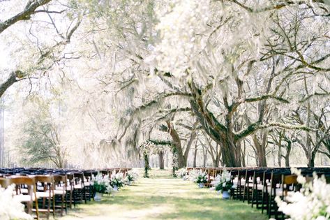 Wedding gallery — Eden at Gracefield Lowcountry Wedding, Southern Bride, Year Of Dates, Charleston Wedding, Wedding Film, Wedding Vows, Wedding Gallery, Life Photography, Spring Wedding