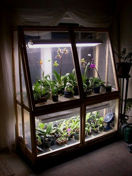 Orchid grow box Serre Diy, Wardian Case, Mini Orquideas, Indoor Greenhouse, Home Greenhouse, Small Greenhouse, Greenhouse Plans, Diy Greenhouse, Mini Greenhouse