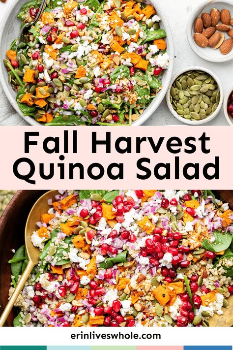 Embrace the cozy vibes of fall with a delightful spinach quinoa salad with feta cheese. This hearty salad celebrates the earthy flavors of the harvest season, combining the nutty texture of quinoa, the tangy crumble of feta, and the sweetness of roasted sweet potatoes. Tossed in a homemade quinoa salad dressing, each bite is a burst of robust flavors! Harvest Quinoa Salad, Spinach Quinoa Salad, Quinoa Salad Dressing, Quinoa Spinach Salad, Salad With Feta Cheese, Quinoa Sweet Potato, Feta Cheese Salad, Salad With Feta, Sweet Potato Spinach