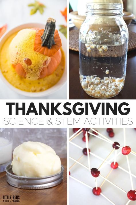 Simple and fun to do Thanksgiving science activities and experiments along with Thanksgiving theme STEM challenges the kids will love. Thanksgiving Science Activities, Science Activities For Elementary, Thanksgiving Science, Thanksgiving Stem Activities, Homeschool Thanksgiving, Corn Thanksgiving, Classroom Thanksgiving, Pumpkin Lessons, Thanksgiving Stem