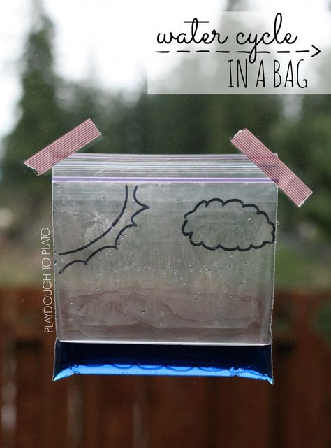 Super fun and simple science for kids. Make the water cycle in a bag! Water Cycle In A Bag, Weather Activities For Kids, Preschool Weather, Playdough To Plato, The Water Cycle, Kid Science, Weather Theme, 4th Grade Science, Weather Activities