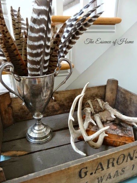 The Essence of Home: A Rustic Vignette Displaying Feathers, Decor With Feathers, Vintage Hunting Decor, Turkey Feather Decor, Pheasant Feather Decor, Vintage Trophy, Antler Decor, Pitcher Decor, Hunting Decor