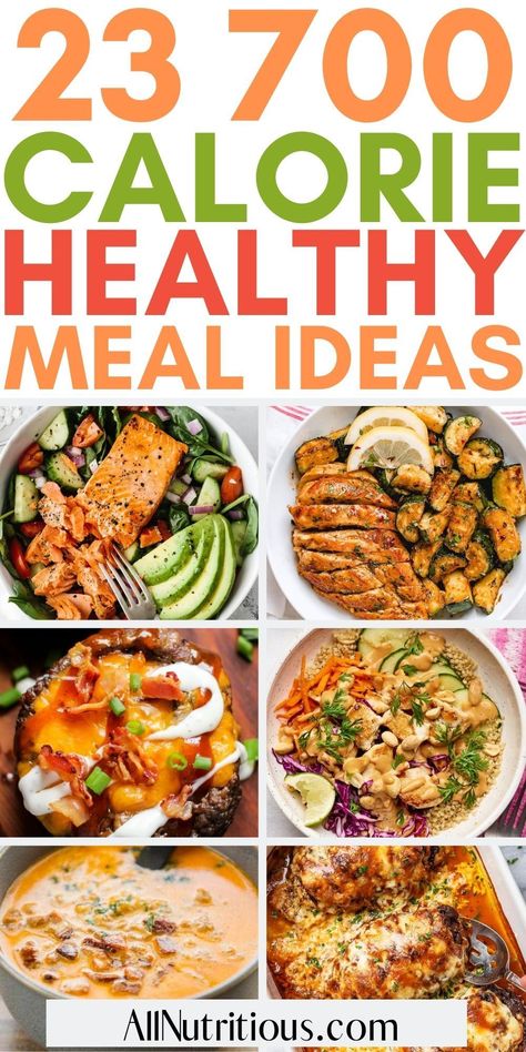 Low Calorie Balanced Meals, 650 Calorie Meals, Well Balanced Dinner Meals, 300 Calorie Meals Lunch Meal Prep, Hi Calorie Meals, High Calorie Paleo Meals, 2000 Calorie Meal Prep, Healthy Basic Meals, Healthy Meals That Dont Taste Healthy