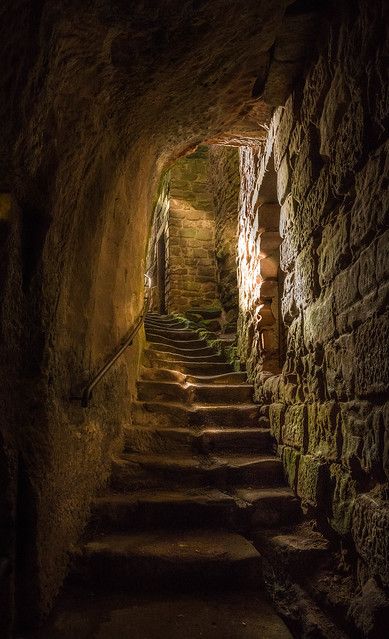 Underground Passage, Chateau Medieval, Castle Aesthetic, Castle Ruins, Fantasy Places, Fantasy Aesthetic, Medieval Castle, 판타지 아트, The Castle