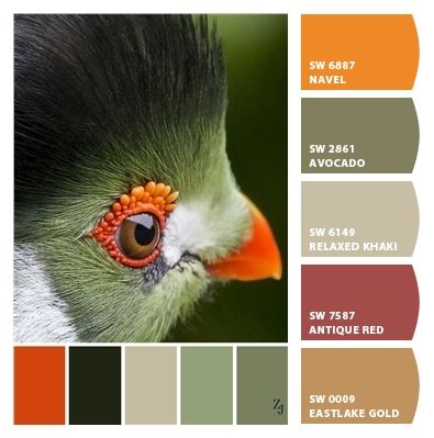 Paint colors from ColorSnap by Sherwin-Williams Army Green Colour Combination, Khaki Colour Combination, Army Green Color Combinations, Army Color Palette, Army Green Color Palette, Khaki Color Combination, Army Green Outfit, Green Boys Room, Color Branding