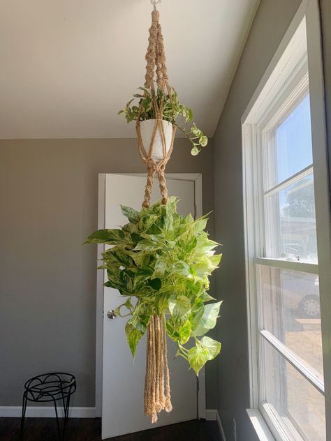 Hang Plants, Style Plants, Marble Queen, Home Decor Boho, How To Hang, Hanging Macrame, Boho Home Decor, Plant Mom, Boho Home