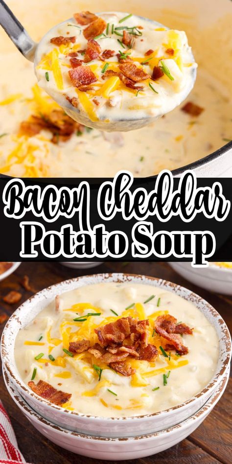 Cheesy bacon cheddar soup is made with only a few flavorful ingredients, is thick, creamy, and ready in under an hour! Top with bacon, chives, and cheese for extra richness! Cheddar Bacon Potato Soup, Cheddar Potato Soup, Bacon Cheese Potatoes, Potato Cheddar Soup, Bacon Soup Recipes, Cheesy Bacon Potatoes, Broccoli Potato Soup, Cheddar Soup Recipe, Potato Bacon Soup