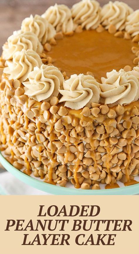 Peanut Butter Overload Cake, Reese Peanut Butter Cake Recipe, Peanut Butter Rice Cake Ideas, Peanut Butter Crunch Cake, Vanilla Peanut Butter Cake, Peanut Butter Whiskey Cake, Peanut Butter Cake Ideas, Peanut Butter Cake Recipe Homemade, Peanut Butter Cake With Peanut Butter Frosting