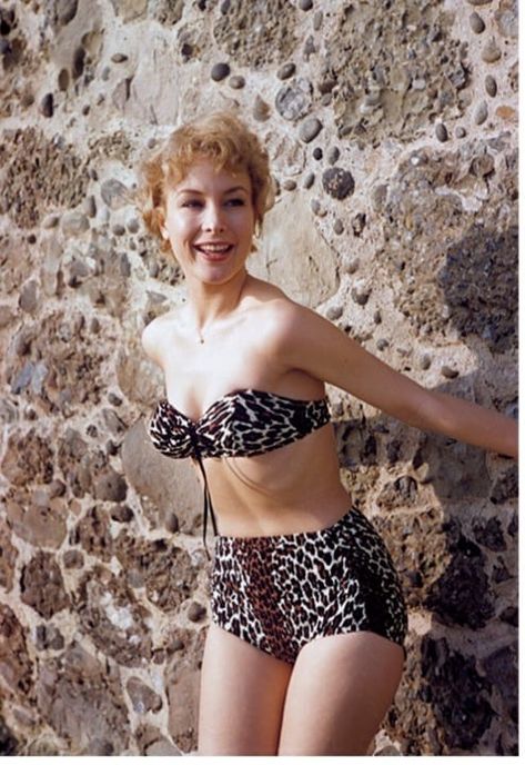 Barbara Eden 1960s, Barbara Eden Outfits, Barbara Eden, Classic Cinema, I Dream Of Jeannie, Dream Of Jeannie, Celebrity Portraits, Golden Age Of Hollywood, Vintage Hollywood