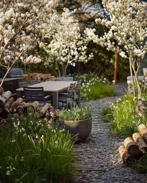 Stefano Marinaz | UK - NL (@stefano.marinaz) posted on Instagram: “One of our recently completed project photographed last week in Chiswick, London. 🌿🌿 This garden is about nature, self-seeders and…” • Apr 4, 2022 at 6:39pm UTC Stefano Marinaz Garden, Stefano Marinaz, Chiswick London, Garden Desig, Narrow Garden, Gardening Design, London Garden, Gravel Garden, Garden Maintenance