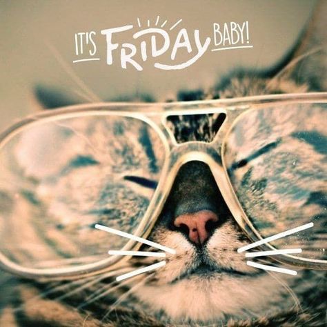 Happy Friday Gif, Friday The 13th Funny, Friday Graphic, Friday The 13th Memes, Friday The 13th Poster, Friday Football, Friday Coffee, That Friday Feeling, Friday Meme