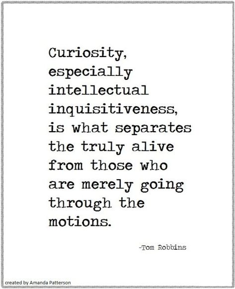 I dream and hope that I never stop learning. I wish to remain intellectually curious and support others in pursuit of similar goals. Curious Minds Quotes, Tom Robbins Quotes, Curious Quotes, Intellectual Wellness, Intellectual Quotes, Understand Emotions, Intellectual Health, Strength Motivation, Tom Robbins