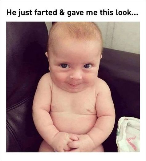 This is the cutest thing ever. Who's agree with me? 😍  #baby #meme #babymeme #memes Funny Baby Jokes, Baby Jokes, Funny Baby Pictures, Funny Baby Memes, Funny Pictures For Kids, Baby Memes, Cute Jokes, Wildlife Habitat, Funny Baby