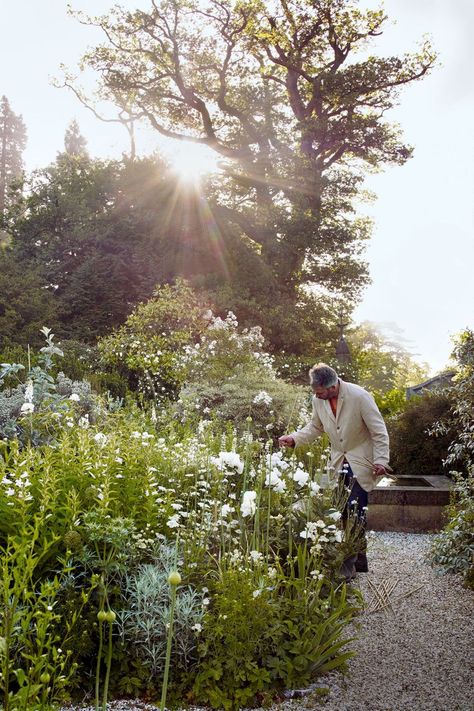 Scandi Garden, Bloom Where Youre Planted, Cottage Garden Plants, Walled Garden, New Garden, Moon Garden, Have Inspiration, Design Outdoor, The Secret Garden